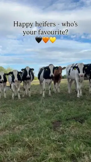 Instagram post 18094067495438773
