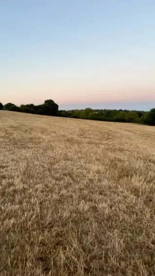 Summer fun… no grass, no rain, then no mains water at our youngstock unit 😫