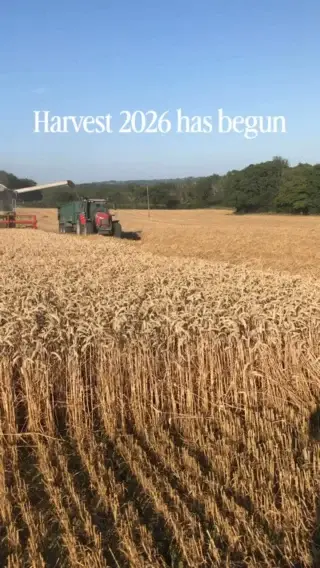 Harvest 2026 is here